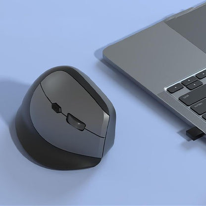 Souris ergonomique noir gris