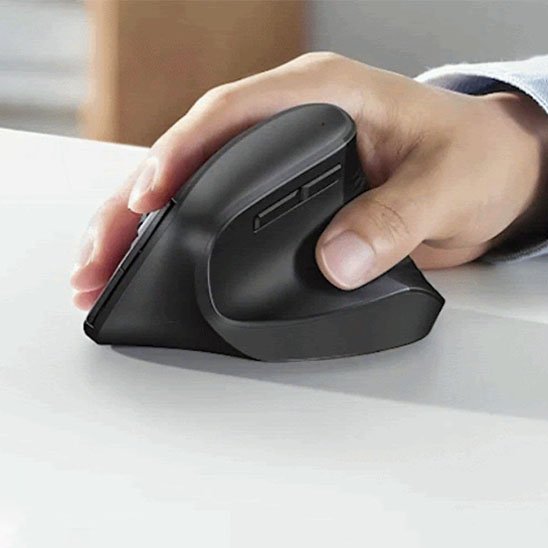 Souris ergonomique noir