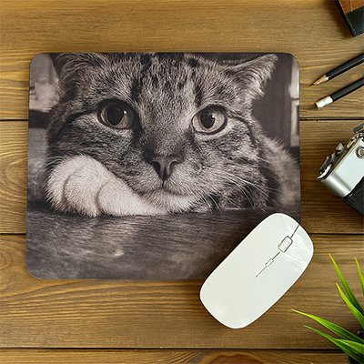 Tapis de souris chat gris